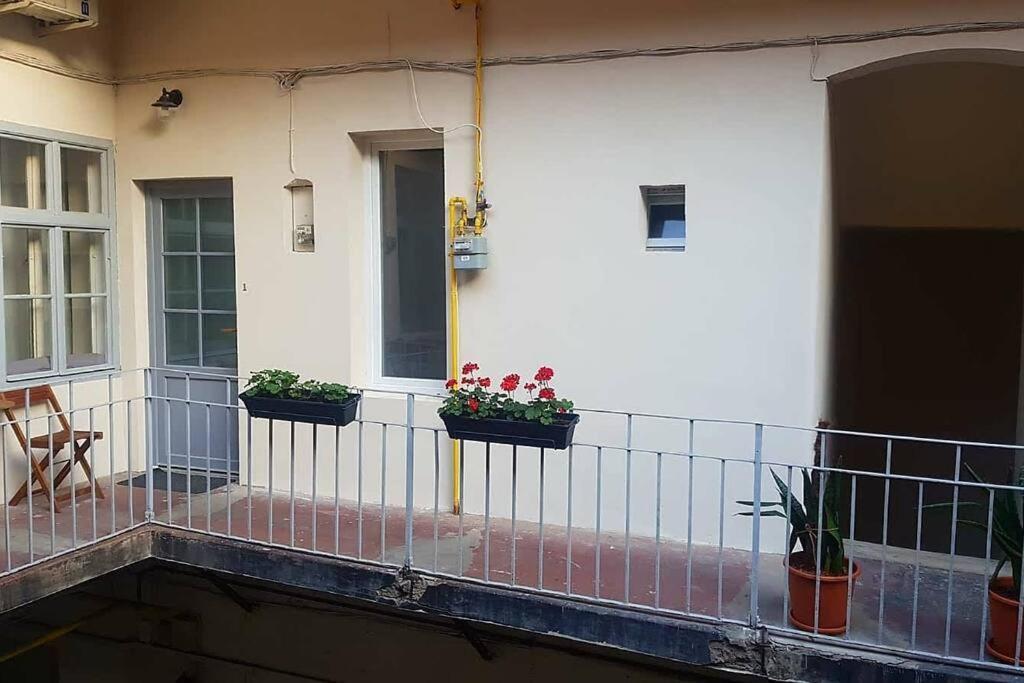 Charming Apartment In Historical City Center Timişoara Exterior foto